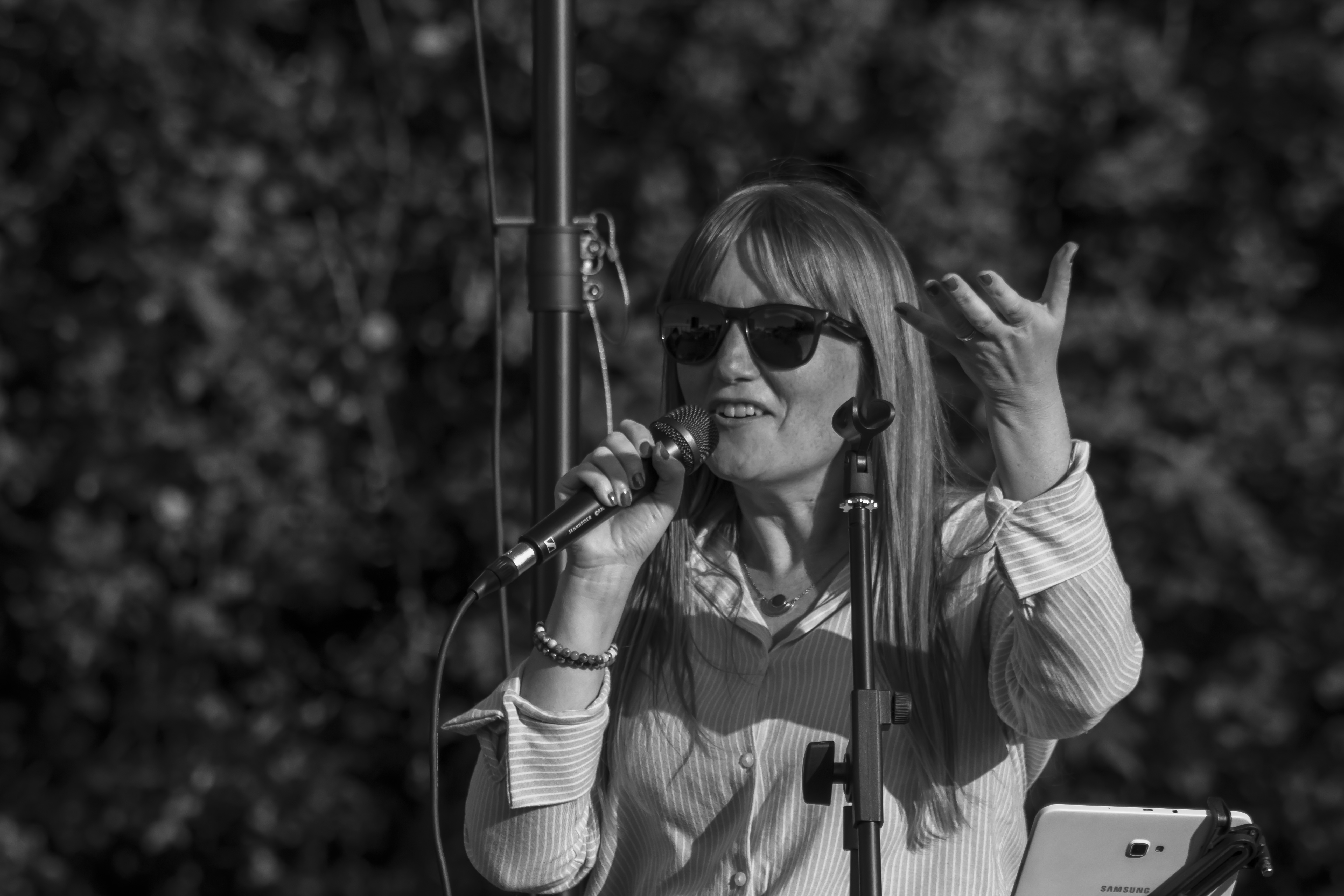 Angélique forêt clair-obscur